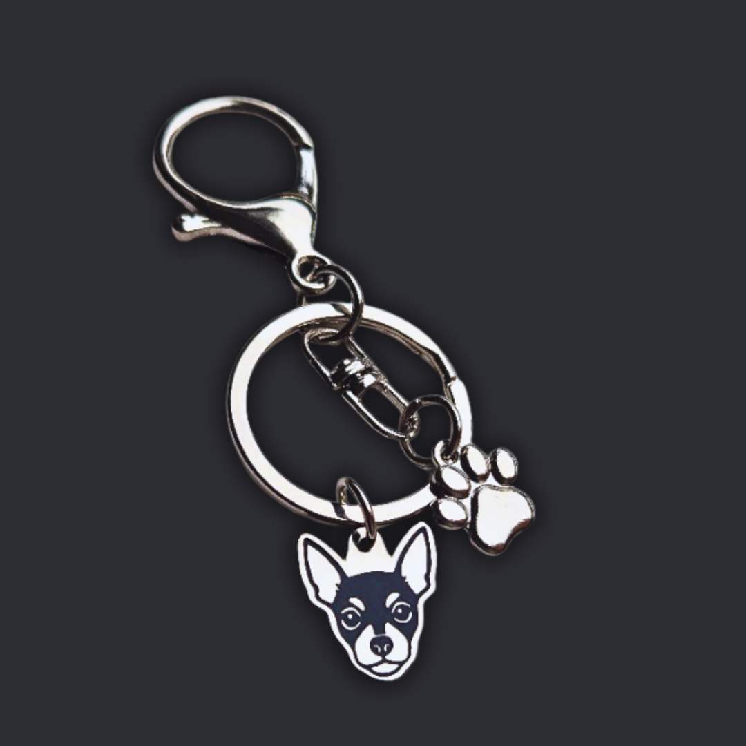 Llavero X2 charms PERRO + Huella Plateado