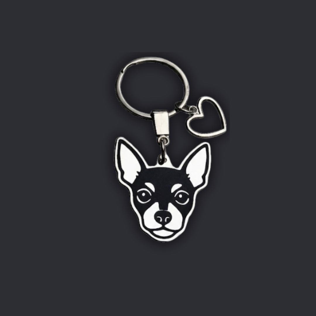 Llavero PERRO + Corazón Plateado