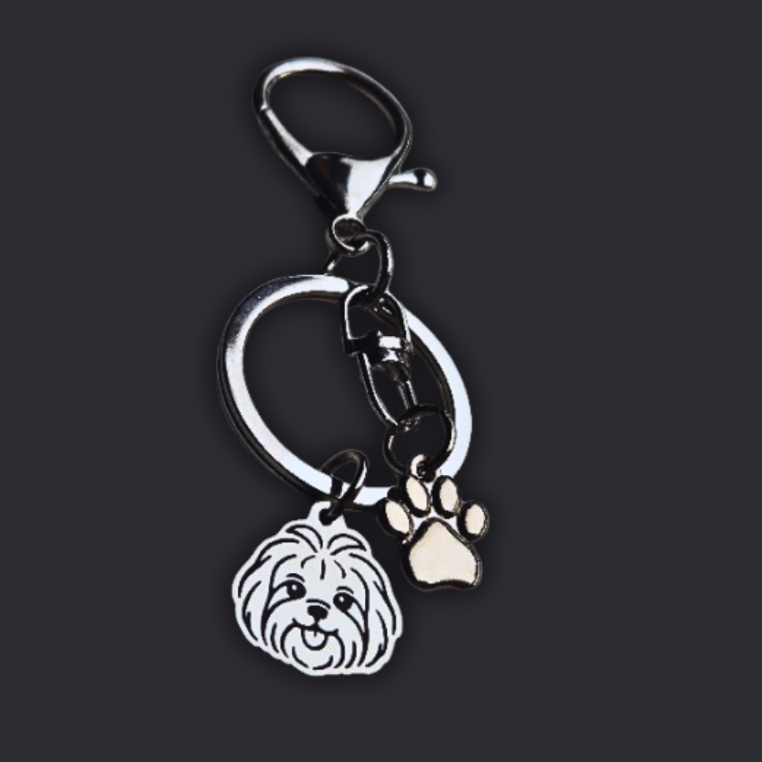 Llavero X2 charms PERRO + Huella Plateado