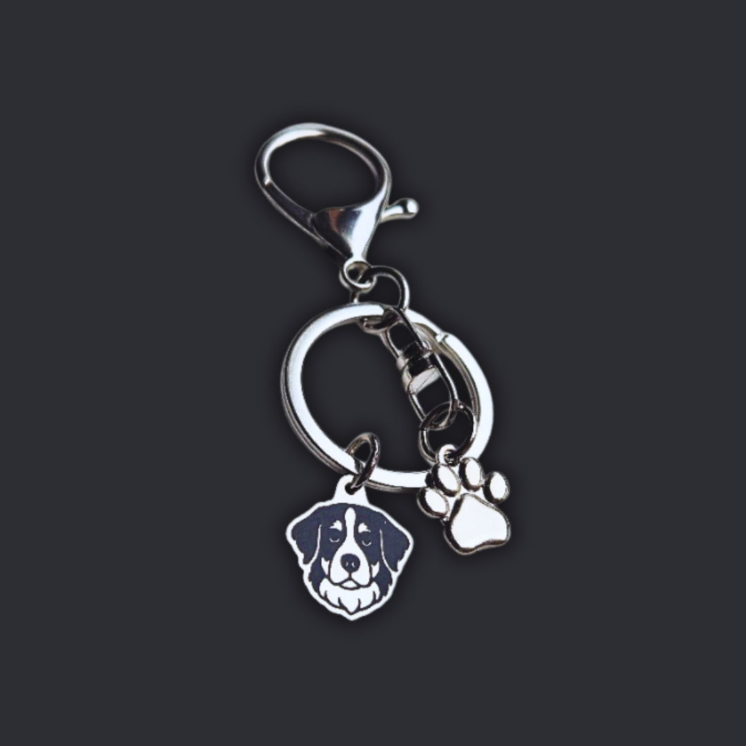 Llavero X2 charms PERRO + Huella Plateado