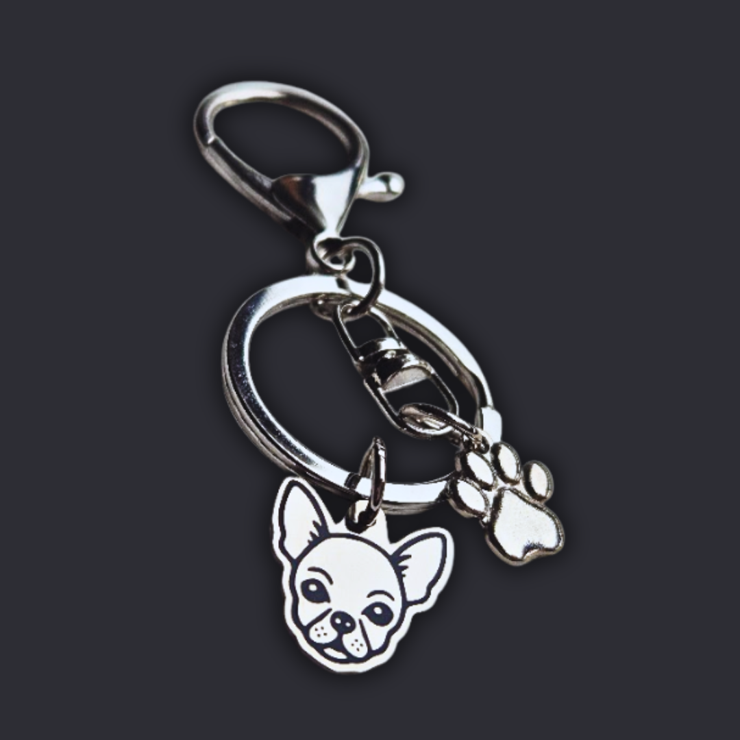 Llavero X2 charms PERRO + Huella Plateado