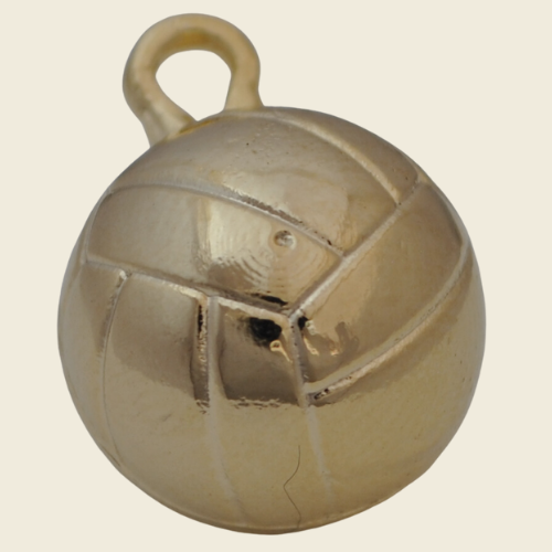 Pelota Voleyball