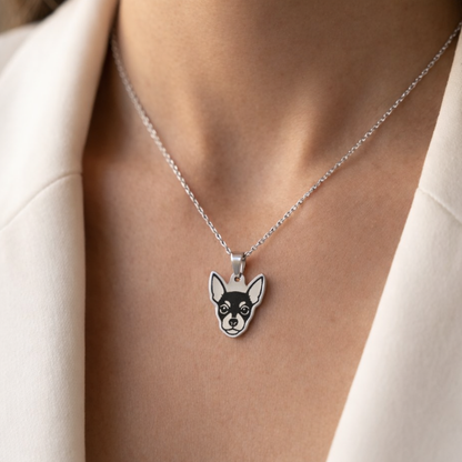 Collar Plateado PERRO