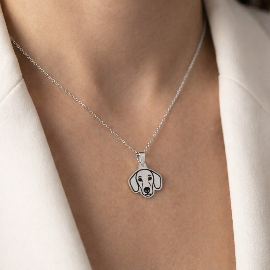 Collar Plateado PERRO