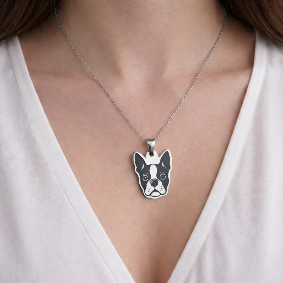 Collar Plateado PERRO