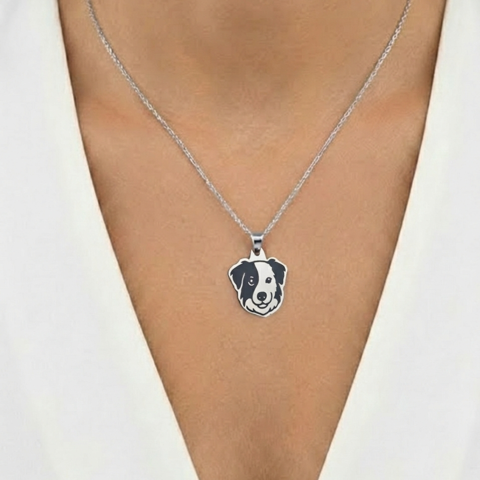 Collar Plateado PERRO