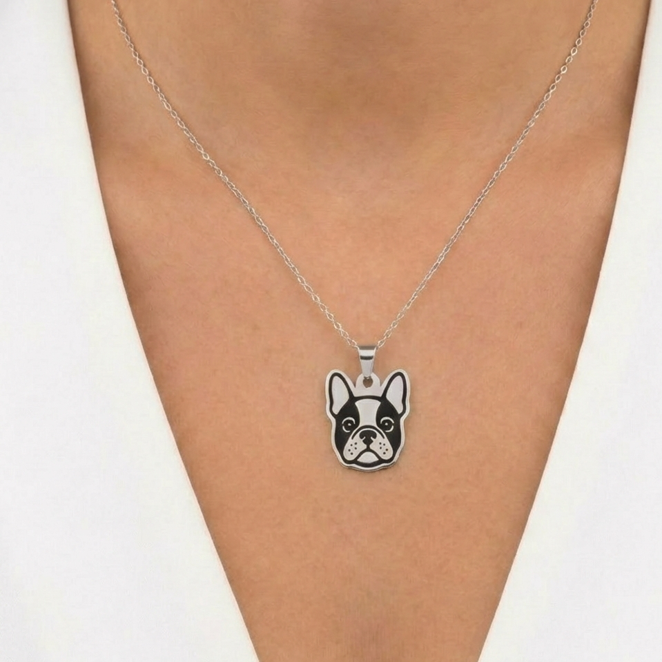 Collar Plateado PERRO